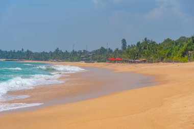 Sri Lanka 'daki Marakolliya sahilinde güneşli bir gün..