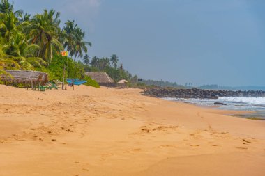 Sri Lanka 'daki Marakolliya sahilinde güneşli bir gün..