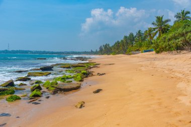 Sri Lanka 'daki Marakolliya sahilinde güneşli bir gün..