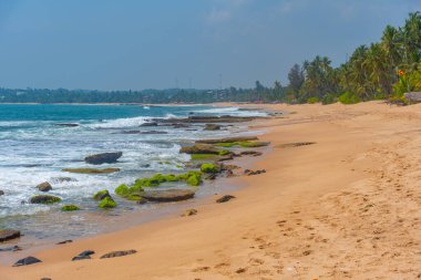 Sri Lanka 'daki Marakolliya sahilinde güneşli bir gün..