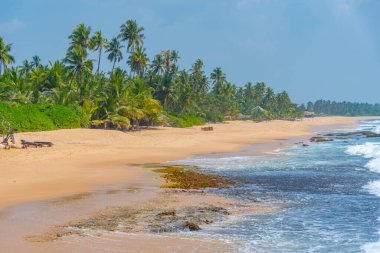 Sri Lanka 'daki Medaketyia plajında güneşli bir gün.