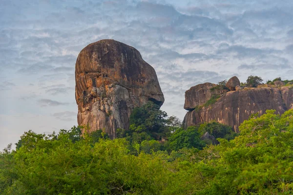 Болота Национальном Парке Яла Шри Ланке — стоковое фото