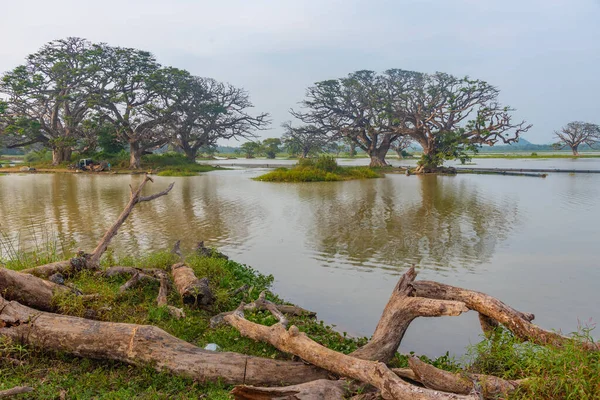 Lac Tissa Weva Sri Lanka — Photo