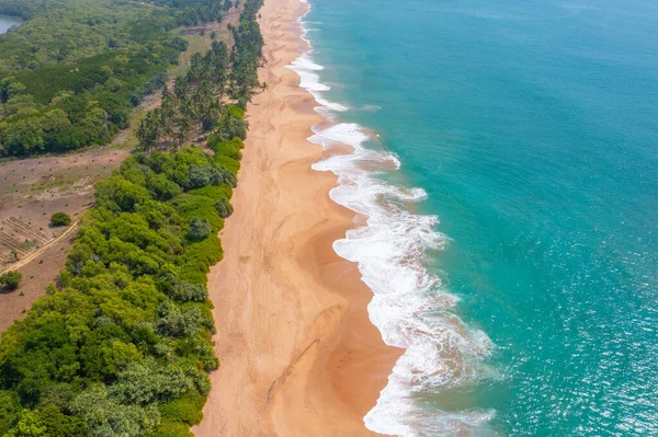 Flygfoto Över Stranden Marakolliya Sri Lanka — Stockfoto