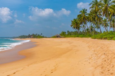 Sri Lanka 'daki Medaketyia plajında güneşli bir gün.