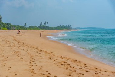 Sri Lanka 'daki Marakolliya sahilinde güneşli bir gün..