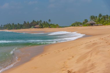Sri Lanka 'daki Marakolliya sahilinde güneşli bir gün..