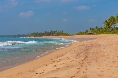Sri Lanka 'daki Marakolliya sahilinde güneşli bir gün..