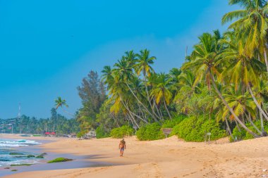 Sri Lanka 'daki Medaketyia plajında güneşli bir gün.