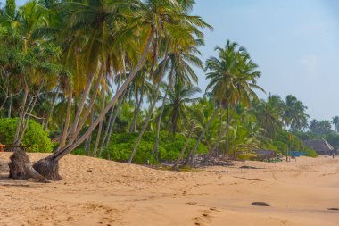 Sri Lanka 'daki Medaketyia plajında güneşli bir gün.