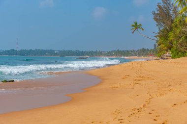Sri Lanka 'daki Medaketyia plajında güneşli bir gün.