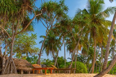 Marakolliya sahilindeki güneşlik yatakları, Sri Lanka.