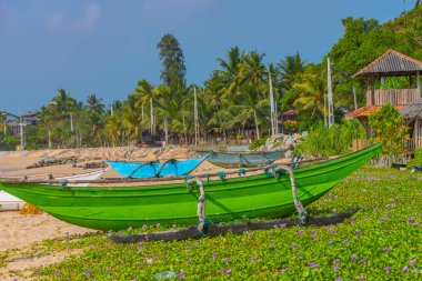 Marakolliya sahilinde balıkçı tekneleri, Sri Lanka.