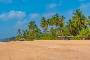 Sri Lanka 'daki Medaketyia plajında güneşli bir gün.