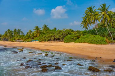 Sri Lanka 'daki Medaketyia plajında güneşli bir gün.