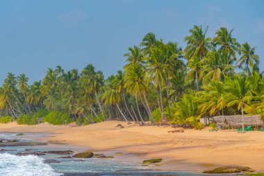 Sri Lanka 'daki Medaketyia plajında güneşli bir gün.