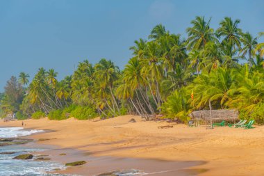 Sri Lanka 'daki Medaketyia plajında güneşli bir gün.