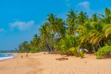 Sri Lanka 'daki Medaketyia plajında güneşli bir gün.
