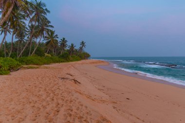 Sri Lanka 'daki Marakolliya plajının günbatımı manzarası.