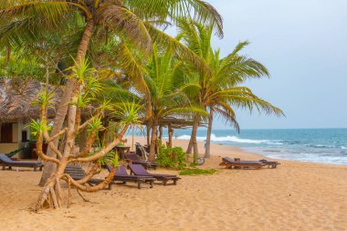 Sri Lanka 'daki Marakolliya sahilinde güneşli bir gün..