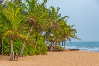 Sri Lanka 'daki Marakolliya sahilinde güneşli bir gün..