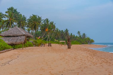 Sri Lanka 'daki Marakolliya sahilinde güneşli bir gün..