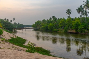 Sri Lanka 'daki Rekawa gölünde.