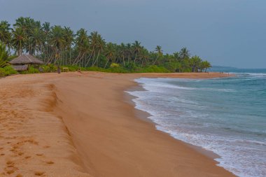 Sri Lanka 'daki Marakolliya plajının gün batımı manzarası.