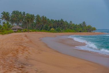 Sri Lanka 'daki Marakolliya plajının gün batımı manzarası.