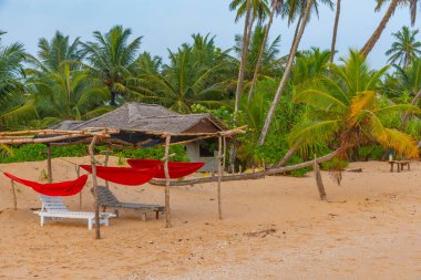 Marakolliya sahilindeki güneşlik yatakları, Sri Lanka.