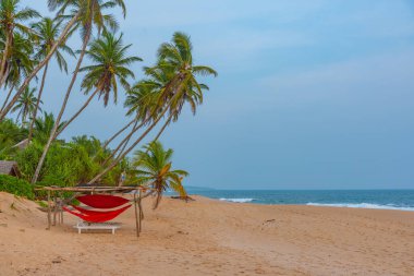 Marakolliya sahilindeki güneşlik yatakları, Sri Lanka.