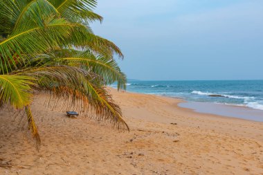 Sri Lanka 'daki Marakolliya plajının gün batımı manzarası.