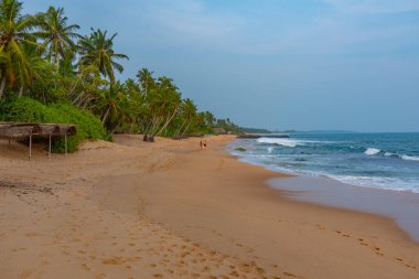 Sri Lanka 'daki Medaketyia plajında güneşli bir gün.