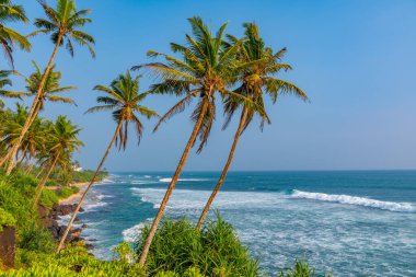 Hindistan Okyanusu manzaralı Coconut Hill Mirissa, Sri Lanka.