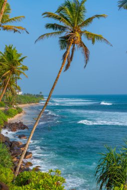 Hindistan Okyanusu manzaralı Coconut Hill Mirissa, Sri Lanka.