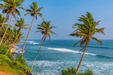 Hindistan Okyanusu manzaralı Coconut Hill Mirissa, Sri Lanka.