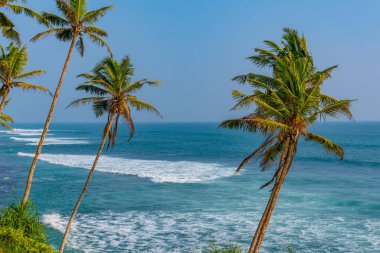 Hindistan Okyanusu manzaralı Coconut Hill Mirissa, Sri Lanka.
