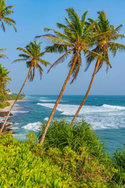 Hindistan Okyanusu manzaralı Coconut Hill Mirissa, Sri Lanka.