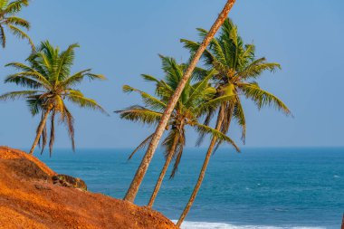 Hindistan Okyanusu manzaralı Coconut Hill Mirissa, Sri Lanka.