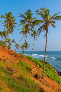 Hindistan Okyanusu manzaralı Coconut Hill Mirissa, Sri Lanka.
