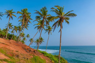 Hindistan Okyanusu manzaralı Coconut Hill Mirissa, Sri Lanka.