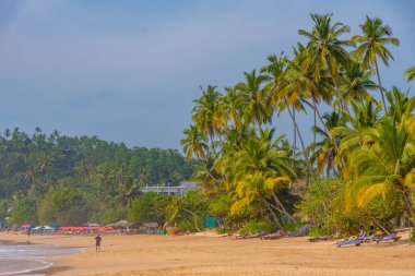 Sri Lanka 'da güneşli bir günde Mirissa plajı.