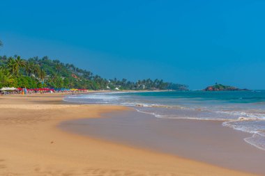 Sri Lanka 'da güneşli bir günde Mirissa plajı.