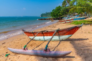 Mirissa, Sri Lanka limanında balıkçı tekneleri.