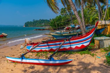 Mirissa, Sri Lanka limanında balıkçı tekneleri.