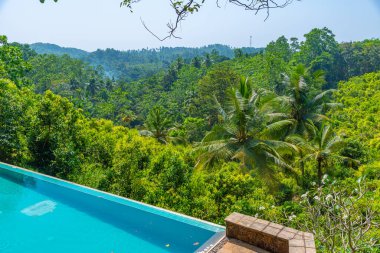 Mirissa Hills, Sri Lanka 'daki tarçın tarlalarına bakan havuz.