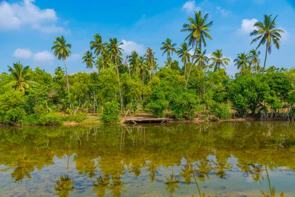 Laguna Rekawa Sri Lanka —  Fotos de Stock