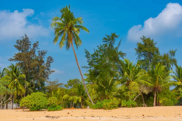 Día Soleado Playa Marakolliya Sri Lanka —  Fotos de Stock