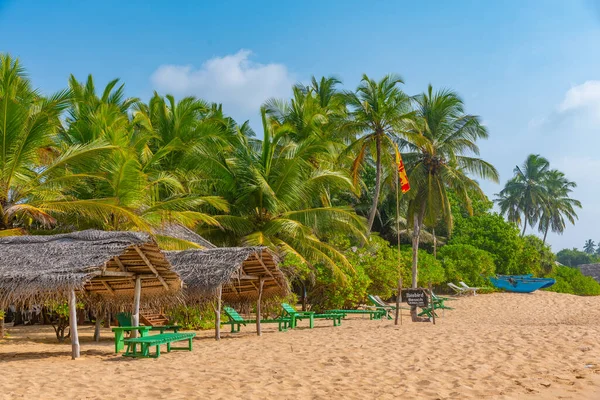 Lettini Sulla Spiaggia Marakolliya Sri Lanka — Foto Stock