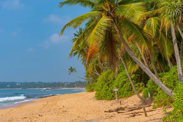 Giornata Sole Sulla Spiaggia Medaketyia Nello Sri Lanka — Foto Stock